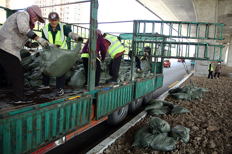 4、按每平方米5公斤標(biāo)準(zhǔn)灑布有機(jī)肥，對(duì)中分帶土壤進(jìn)行增肥改良。 (2).JPG
