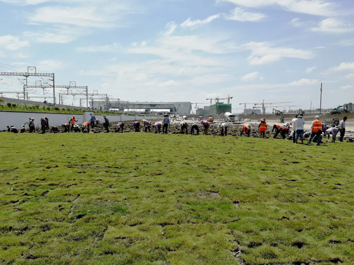 微信圖片_20200724172158.jpg 微信圖片_20200724172158.jpg