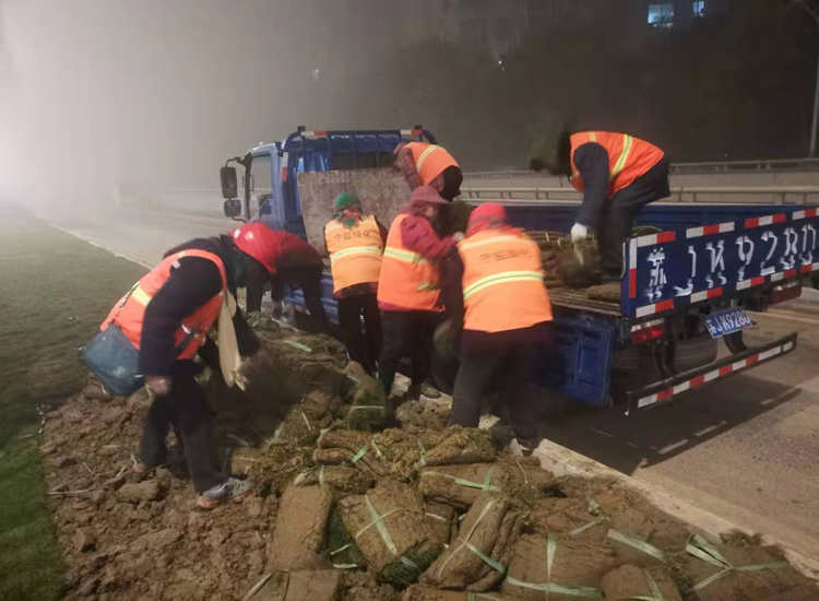 夜間下草皮.jpg 夜間下草皮.jpg