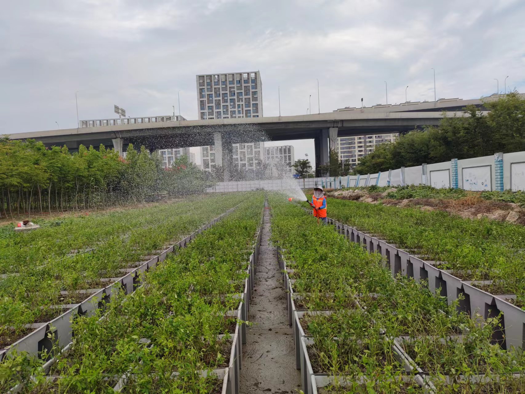 a3076fdb8fa2e491365d17cbab7bdd5.jpg a3076fdb8fa2e491365d17cbab7bdd5.jpg