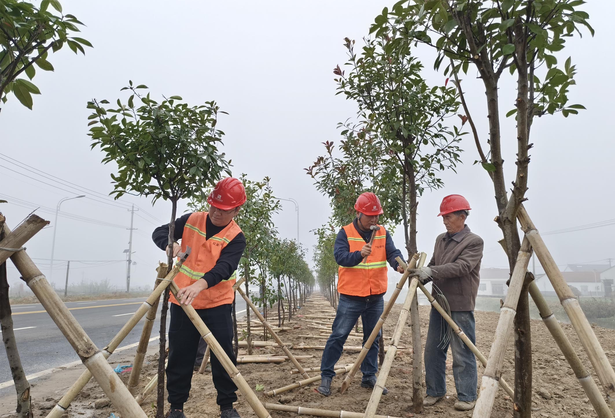 圖片3.jpg 圖片3.jpg