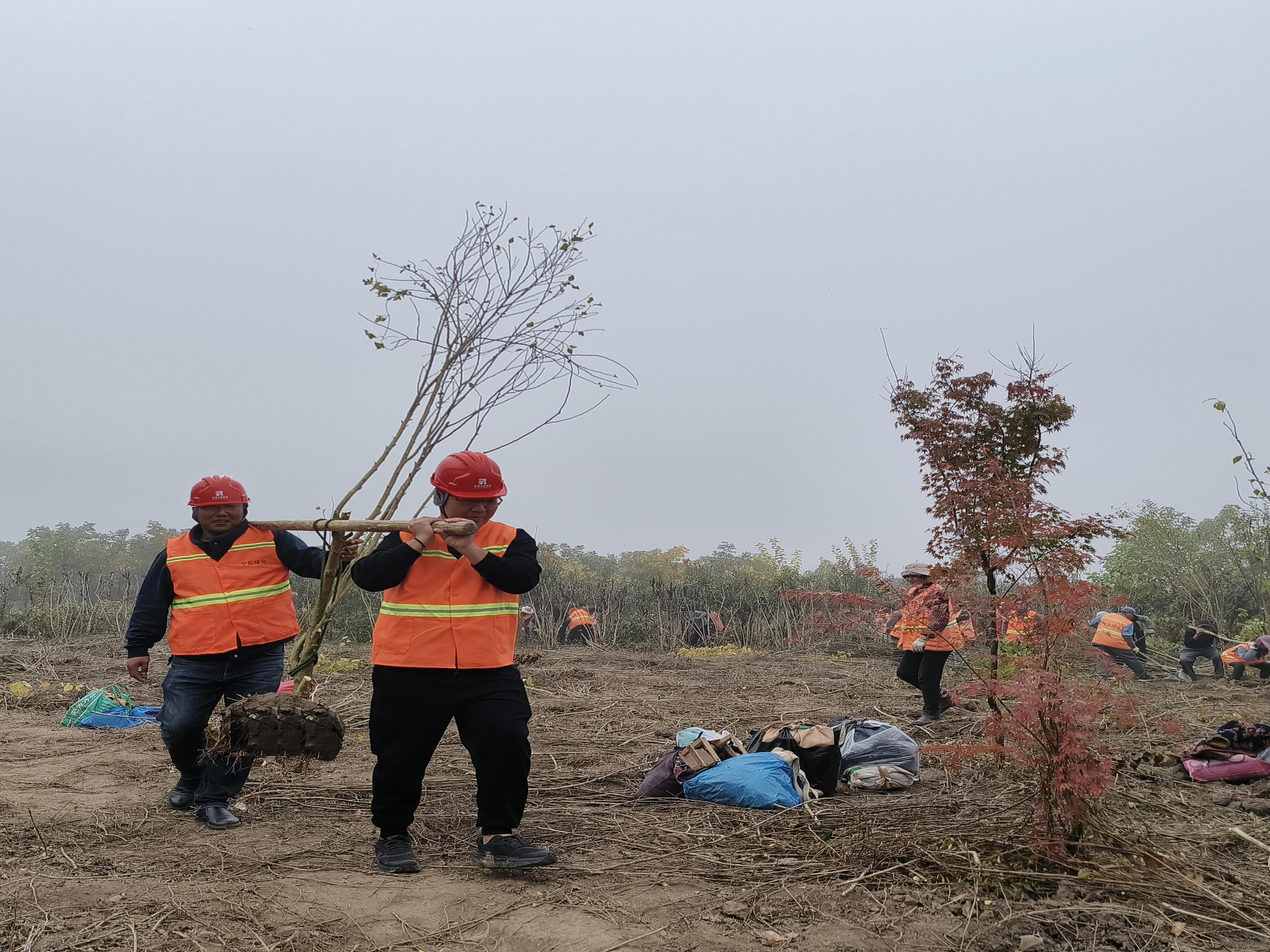 圖片8.jpg 圖片8.jpg