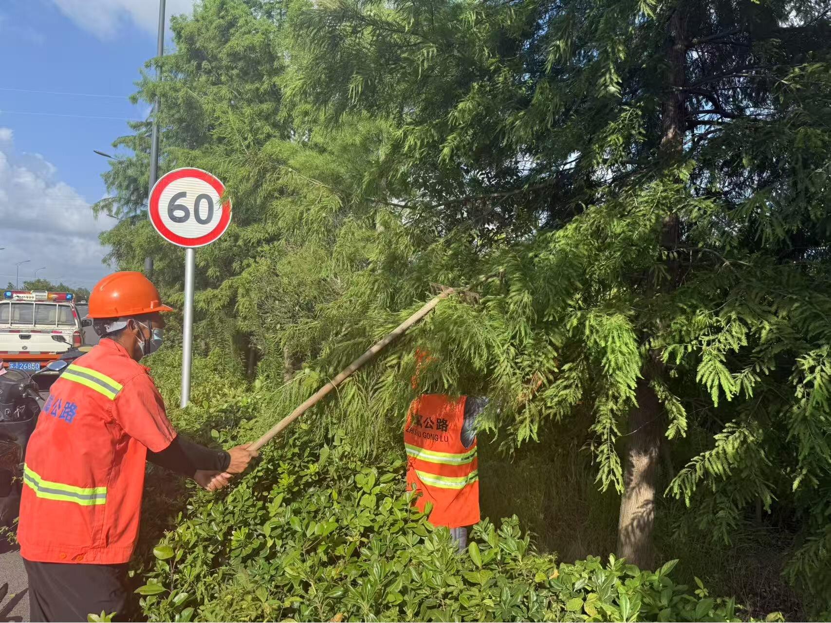 全域覆蓋 精細(xì)化養(yǎng)護(hù)1.jpg 全域覆蓋 精細(xì)化養(yǎng)護(hù)1.jpg