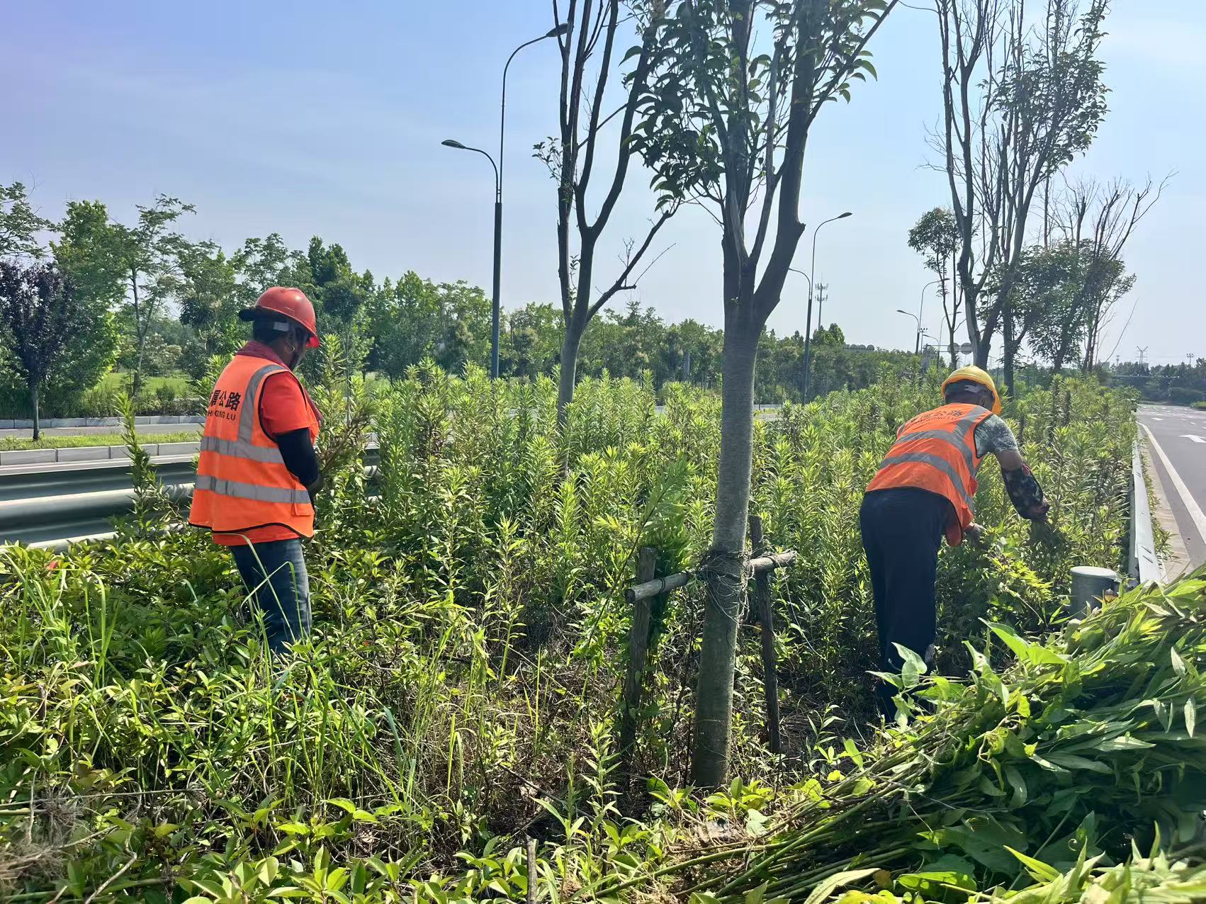 圖片4.png 圖片4.png