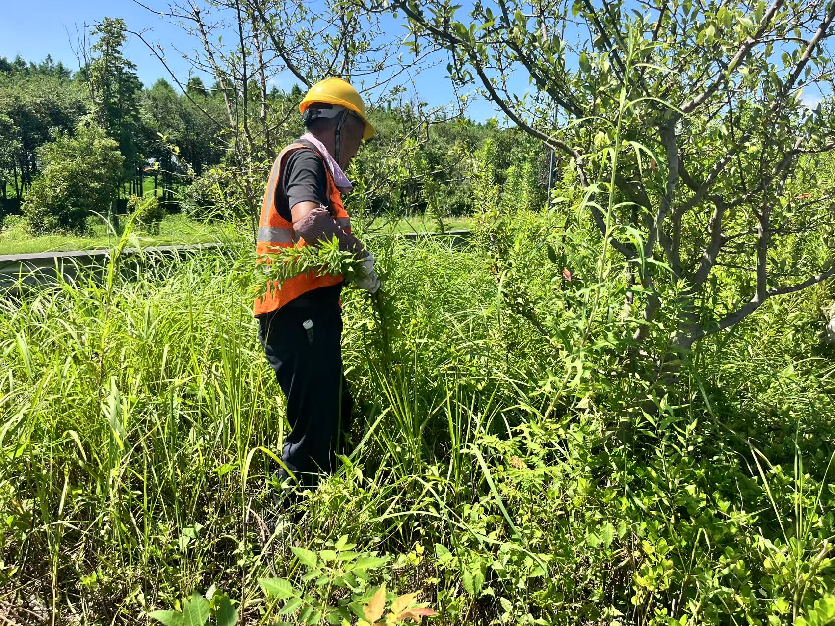 圖片1.png 圖片1.png